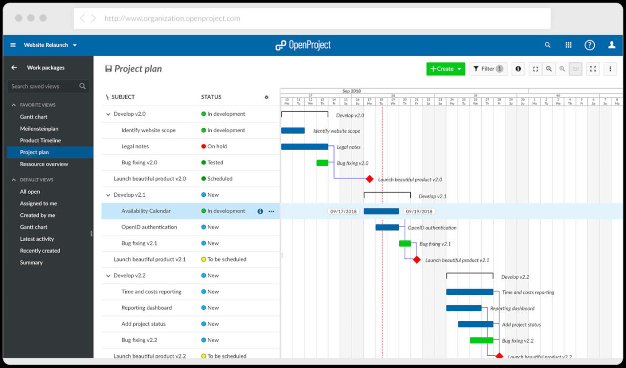 Web development project management software